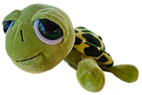 pisc turtle dave sailing mascot paphos pegia agios georgios cyprus